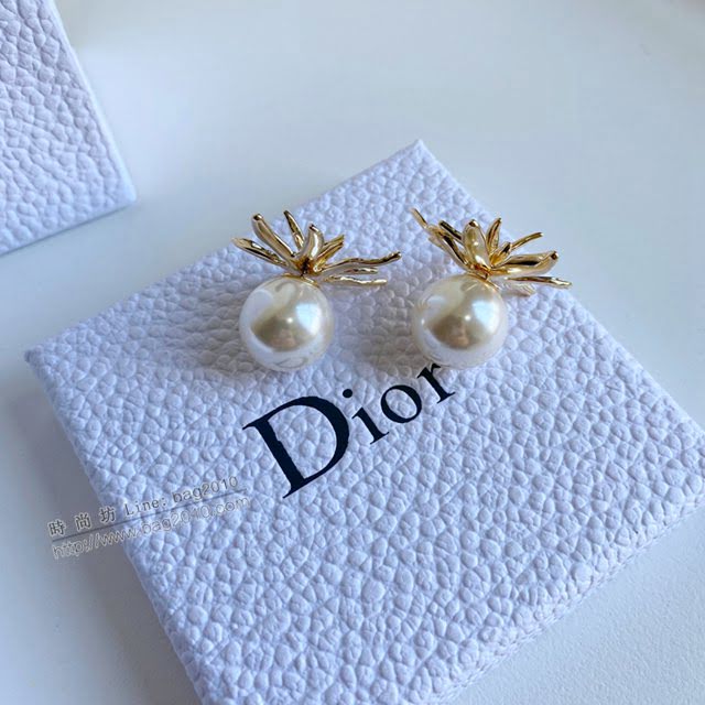 Dior飾品 2021新款DIOR迪奧樹葉耳釘耳環  zgd1379